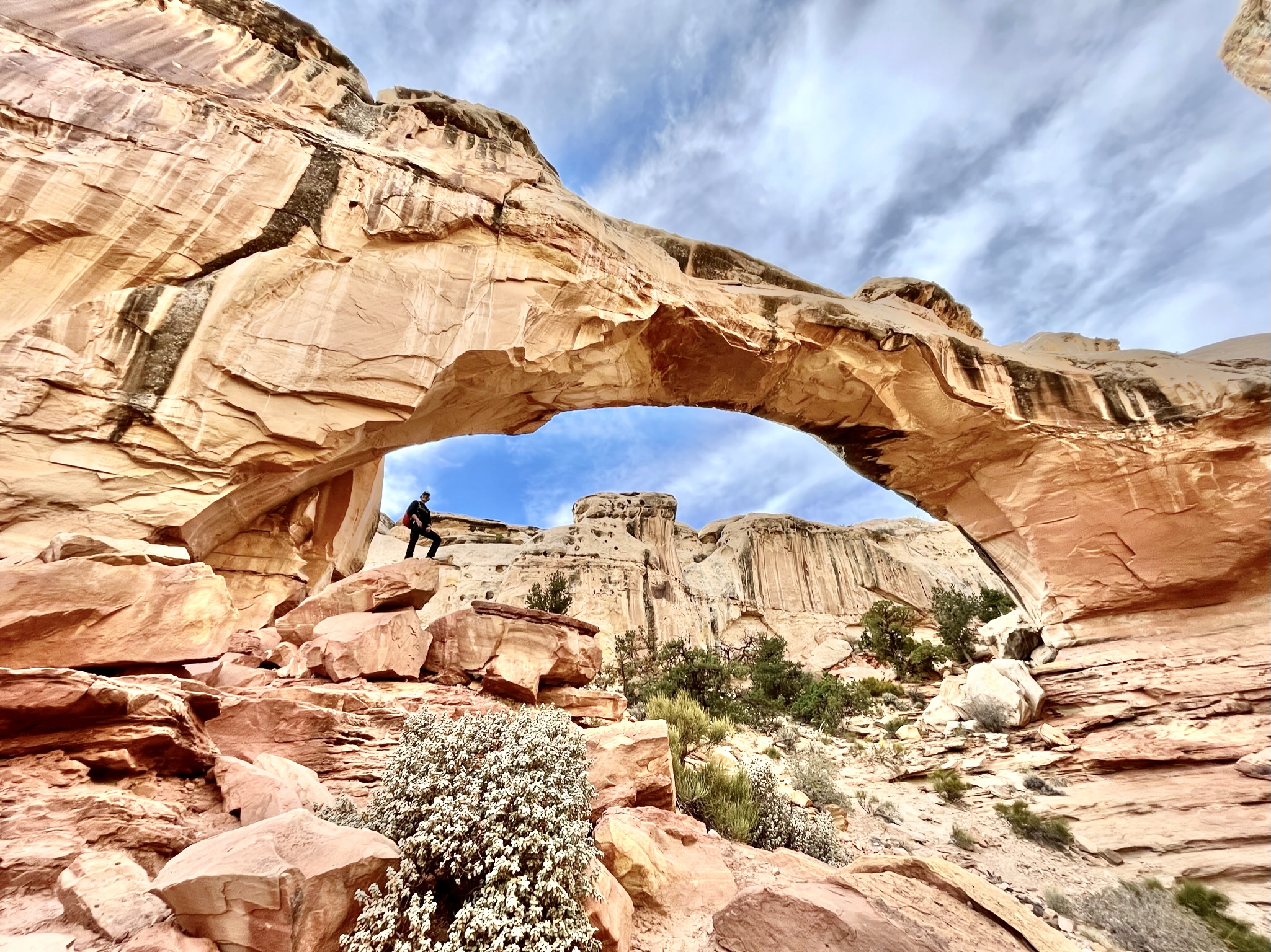 Capitol reef hickman top bridge